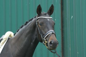 1275133_10202025421900103_84234330_o