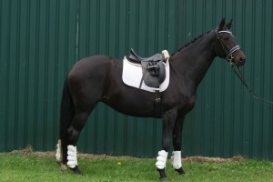 1278029_10202025416579970_45615641_o