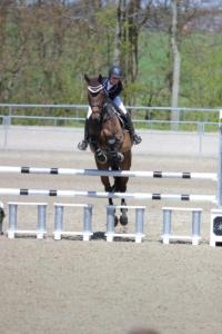 13123336 1034287049960132 3845224206861959724 o