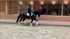 141564394 173114814152162 7799718459138853432 n