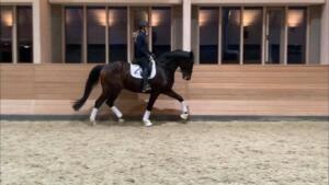 141582451 852789508622110 1045082177700194962 n