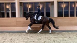 141733273 1751412445034045 455453039571314477 n