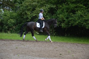 4e56fff2-17a6-4b52-a219-1b845daca63c 