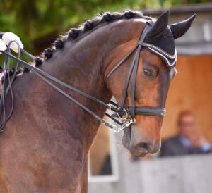 90756844 678966179542784 6626594355396214784 n