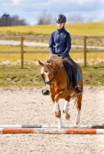 90844607 235961977590131 568272328434122752 n