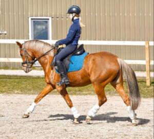 90918975 716252288912709 8272754633034694656 n