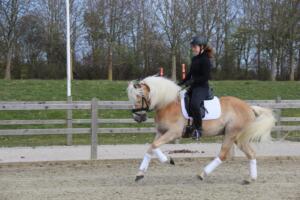 92597948 508705066476749 5276019903231426560 n (1)