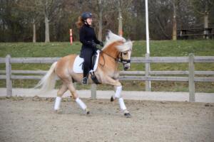 92670189 548175839466373 797973767904034816 n (1)