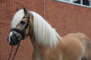 92720577 239795417165456 6088222335146393600 n (1)