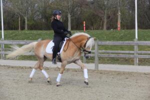 92842028 217762379478634 2220733013858189312 n (1)