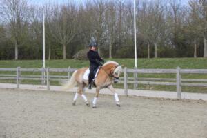 92925654 899925783784400 684277750126608384 n (1)