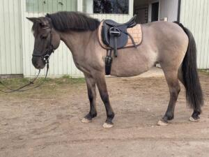 Billede 01.02.2025, 11.24.34