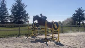 Billede 04.05.2023 17.59.33