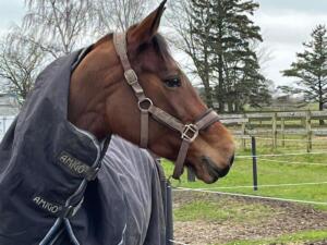 Billede 04.05.2023 20.03.23