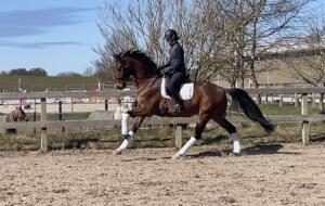 Billede 05.04.2023 13.07.20