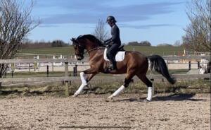 Billede 05.04.2023 13.08.12