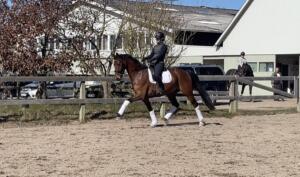 Billede 05.04.2023 13.08.42