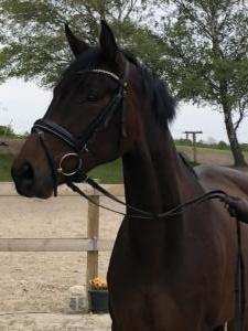 Billede 22.05.2020 15.33.44