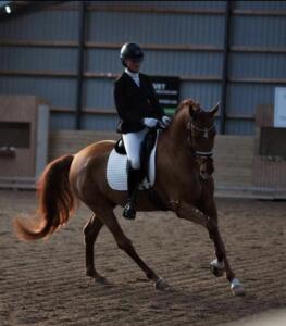 Billede 24.07.2023 18.53.58