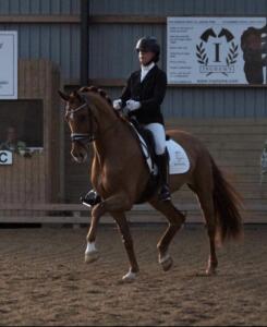 Billede 24.07.2023 18.54.05