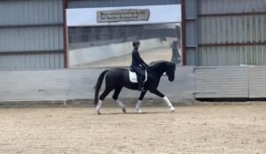 Billede 26.01.2024 20.32.35 (1)