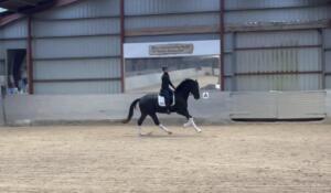 Billede 26.01.2024 20.34.36 (1)